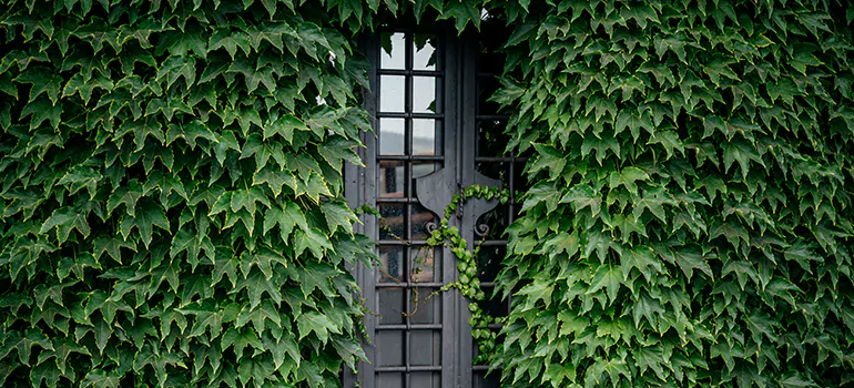 Garden Gate Repair in Miami Gardens, FL