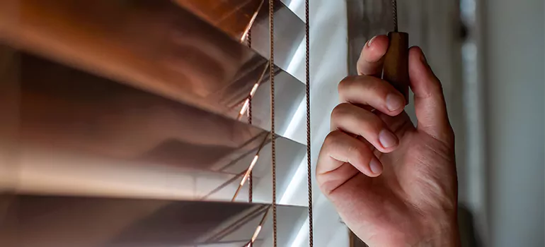 Double Roller Blinds in Miami Gardens, FL