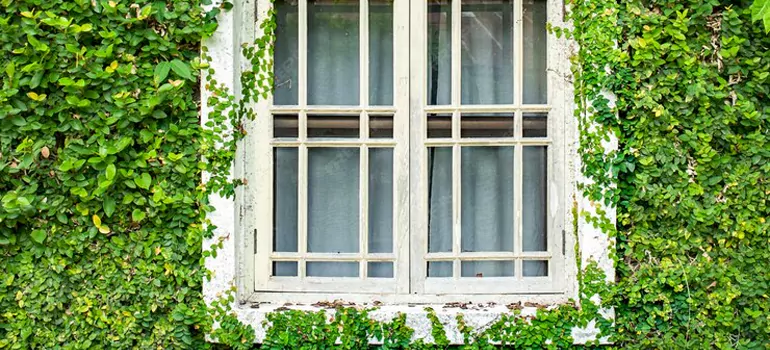 Garden Window Repair Near Me in Miami Gardens, FL