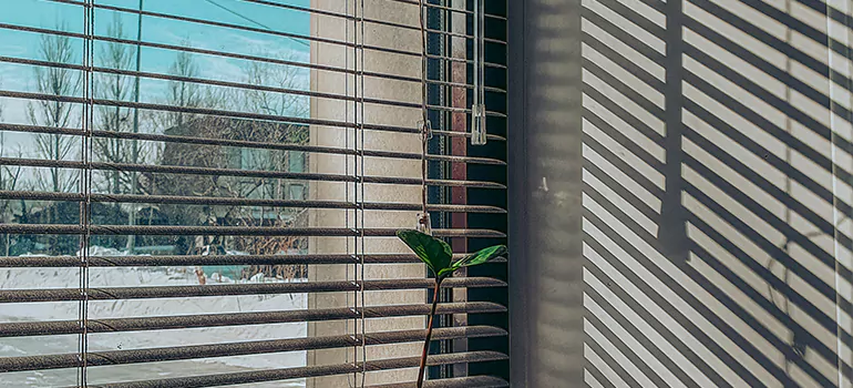 Commercial Window Blinds in Miami Gardens, FL